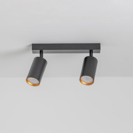 Brilagi - Spotlight SELE 2xGU10/30W/230V svart/guld