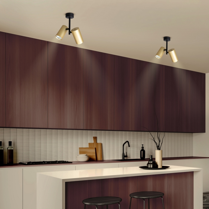 Brilagi - Spotlight SELE VERTICAL 2xGU10/30W/230V svart/guld