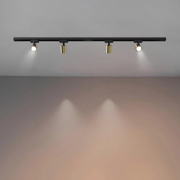 Brilagi - Spott i skensystem HUSKY 4xGU10/10W/230V svart/guld
