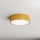 Brilagi - Taklampa CLARE 2xE27/40W/230V diameter 30 cm guld