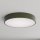 Brilagi - Taklampa CLARE 4xE27/24W/230V Ø 50 cm khakigrön
