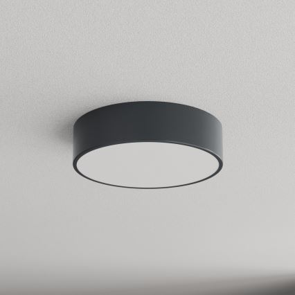 Brilagi - Badrumstaklampa CLARE 2xE27/24W/230V Ø 30 cm antracit IP54