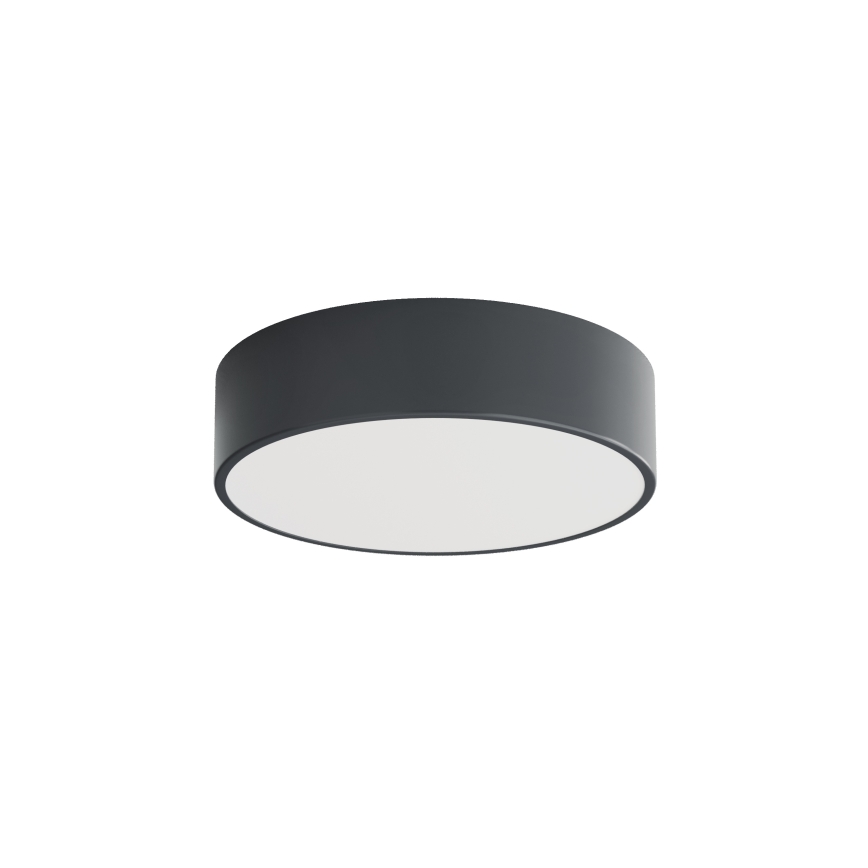 Brilagi - Badrumstaklampa CLARE 2xE27/24W/230V Ø 30 cm antracit IP54