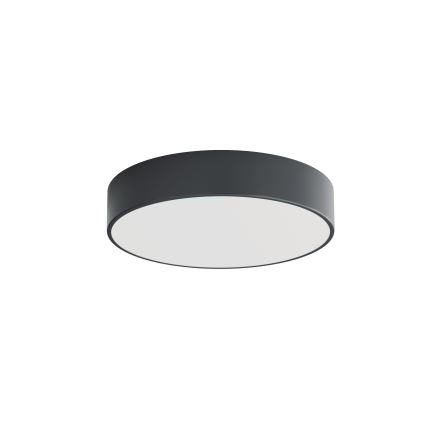 Brilagi - Badrumstaklampa CLARE 3xE27/24W/230V Ø 40 cm antracit IP54