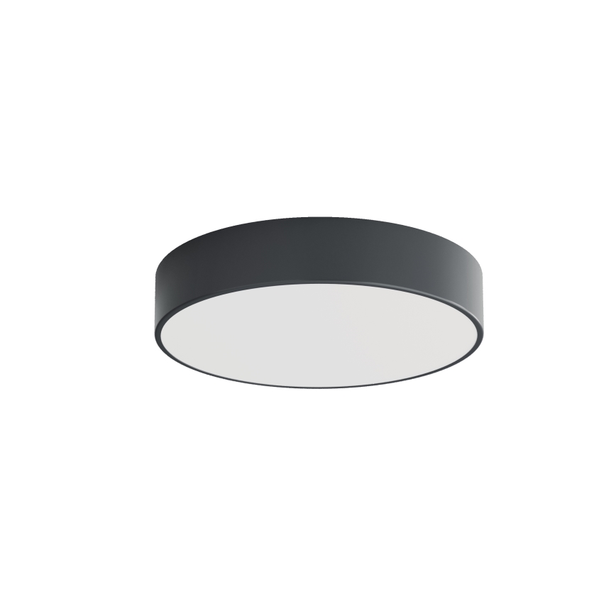Brilagi - Badrumstaklampa CLARE 3xE27/24W/230V Ø 40 cm antracit IP54