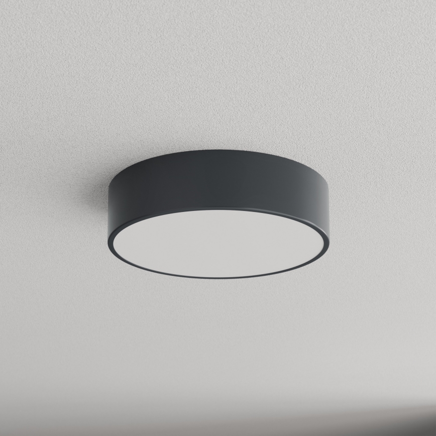 Brilagi - Badrumstaklampa med rörelse- och skymningssensor CLARE 2xE27/24W/230V Ø 30 cm antracit IP54