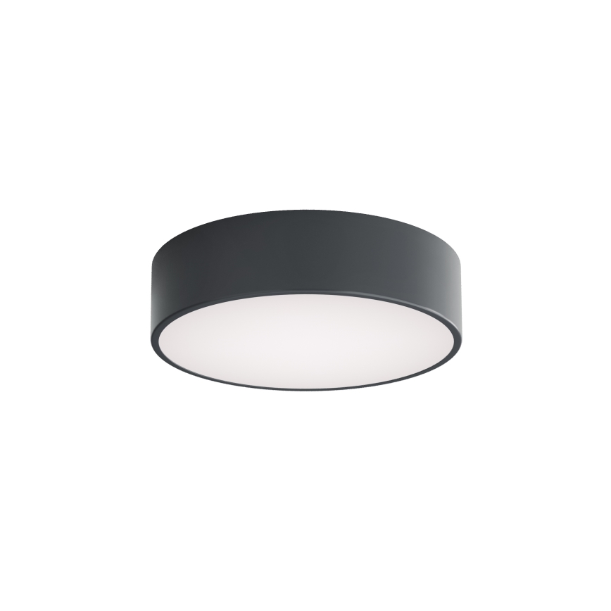 Brilagi - Badrumstaklampa med rörelse- och skymningssensor CLARE 2xE27/24W/230V Ø 30 cm antracit IP54