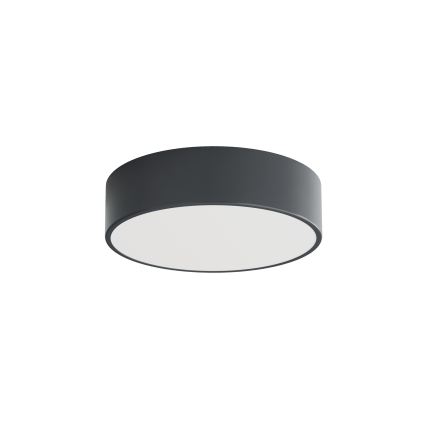 Brilagi - Badrumstaklampa med rörelse- och skymningssensor CLARE 2xE27/24W/230V Ø 30 cm antracit IP54