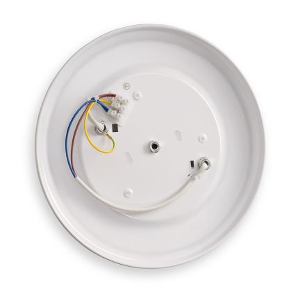 BRILAGI - Taklampa FRESCO 2xE27/40W/230V Ø 30 cm koppar