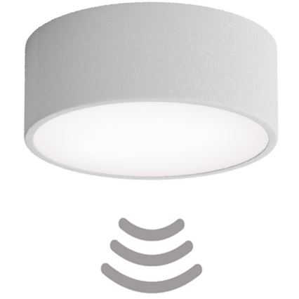 Brilagi - Taklampa med sensor CLARE 1xE27/40W/230V diameter 20 cm grå