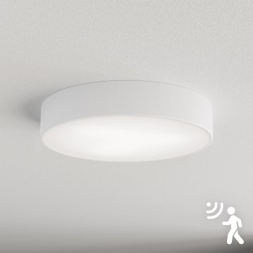 Brilagi - Taklampa med sensor CLARE 3xE27/40W/230V diameter 40 cm vit
