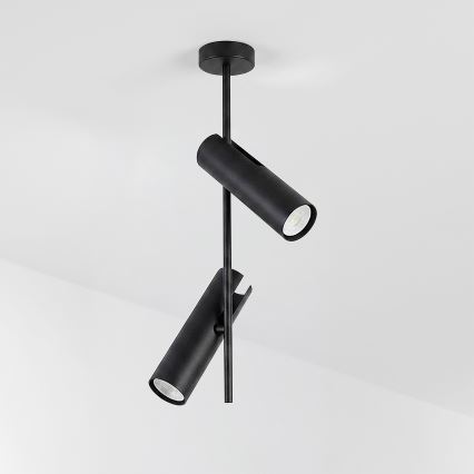 Brilagi - Taklampa på stång BRANCH 2xGU10/30W/230V svart
