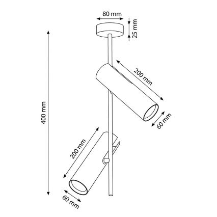 Brilagi - Taklampa på stång BRANCH 2xGU10/30W/230V svart