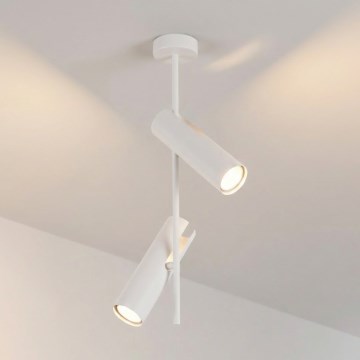 Brilagi - Taklampa på stång BRANCH 2xGU10/30W/230V vit