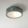 Brilagi - Taklampa PINO 1xE27/15W/230V furu/grön, Ø 27,5 cm
