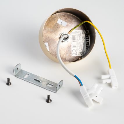 BRILAGI - Taklampa VULCANO 1xG9/8W/230V guld/rökbeige