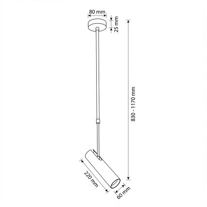 BRILAGI - Takpendel på stång SELE 1xGU10/30W/230V svart