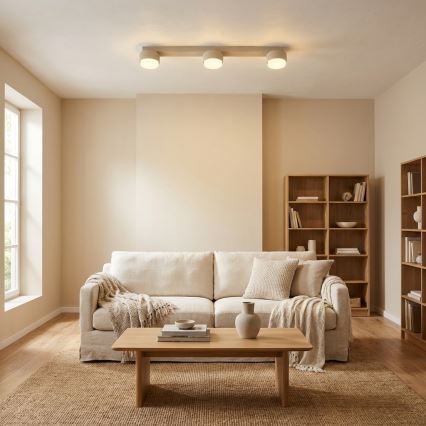 Brilagi - Takspot MONO 3xGX53/12W/230V beige