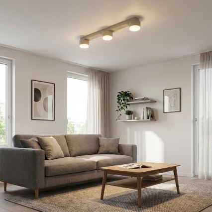 Brilagi - Takspot MONO 3xGX53/12W/230V beige