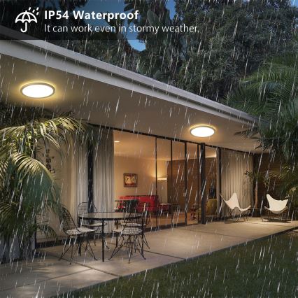 Brilagi - LED-badrumstaklampa ULTRA SLIM LED/12W/230V Ø 22,5 cm guld IP54