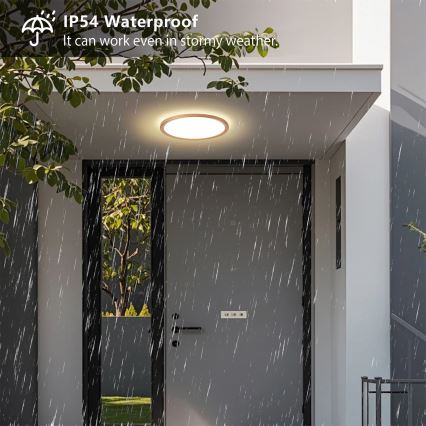 Brilagi - ULTRA SLIM taklampa för badrum LED/18W/230V Ø 30 cm roséguld IP54