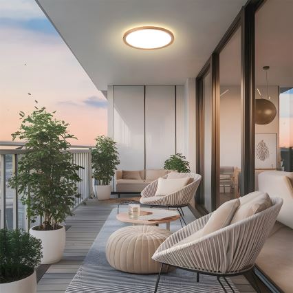 Brilagi - ULTRA SLIM taklampa för badrum LED/18W/230V Ø 30 cm roséguld IP54