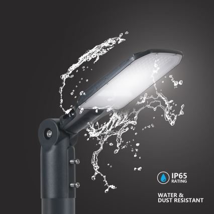 Brilagi - URBANLIGHT LED-gatlampa för utomhusbruk LED/50W/230V antracit IP65