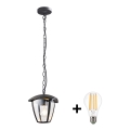 BRILAGI -  Utomhus Hängande lampa LUNA 1xE27/60W/230V IP44