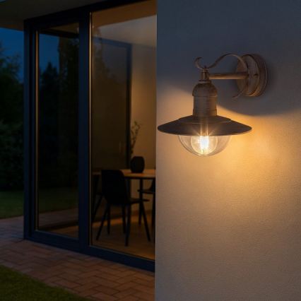 Brilagi - Utomhus väggarmatur MOLDE 1xE27/60W/230V IP44 vit/patina