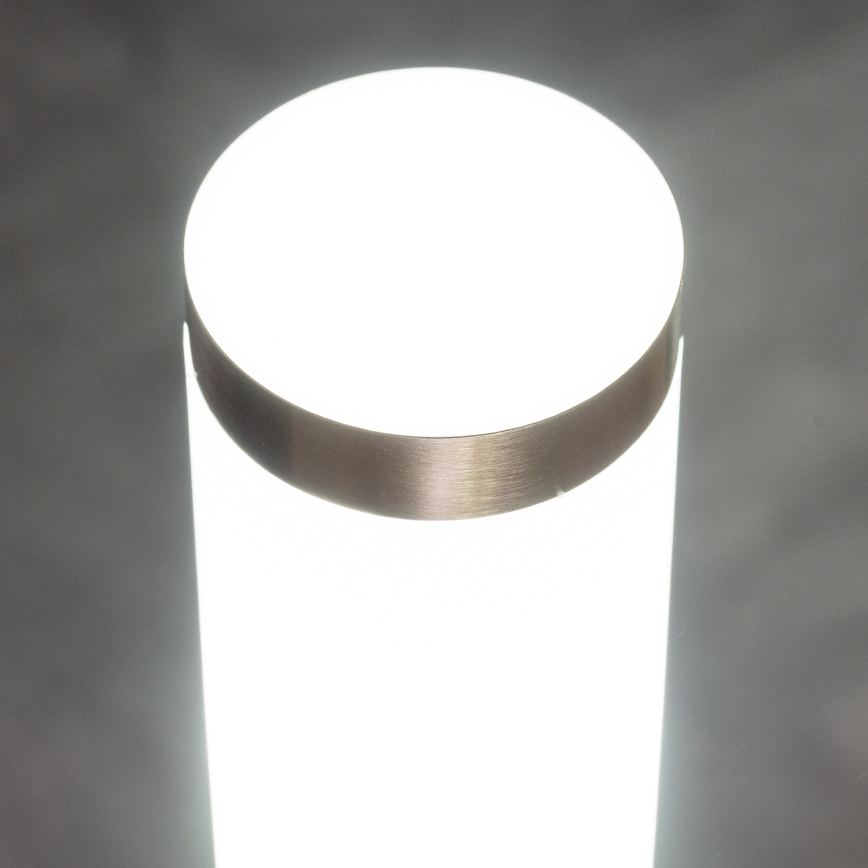 BRILAGI - Utomhuslampa med rörelsesensor ELIA 1xE27/20W/230V IP44 100 cm mattkrom