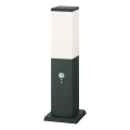 Brilagi - Utomhuslampa med sensor 1xE27/15W/230V 40 cm IP44 antracit