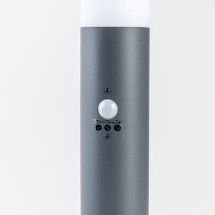 BRILAGI - Utomhuslampa med rörelsesensor ELIA 1xE27/20W/230V IP44 50 cm antracit
