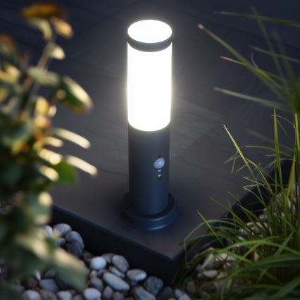 BRILAGI - Utomhuslampa med sensor NOVA 1xE27/15W/230V 40 cm IP44 antracit