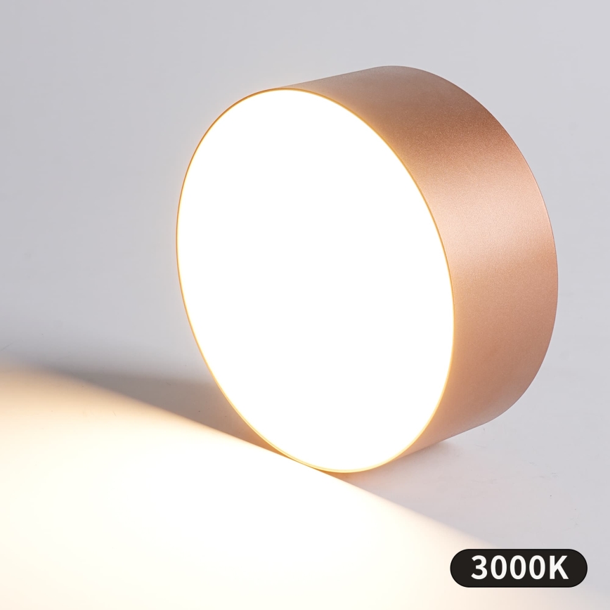 BRILAGI - Utomhustaklampa FORIS LED/20W/230V Ø 15 cm bronsfärgad IP44