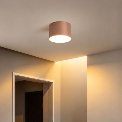 BRILAGI - Utomhustaklampa FORIS LED/9W/230V Ø 9 cm bronsfärgad IP44