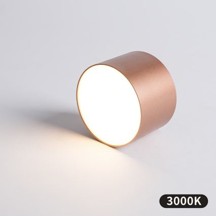 BRILAGI - Utomhustaklampa FORIS LED/9W/230V Ø 9 cm bronsfärgad IP44