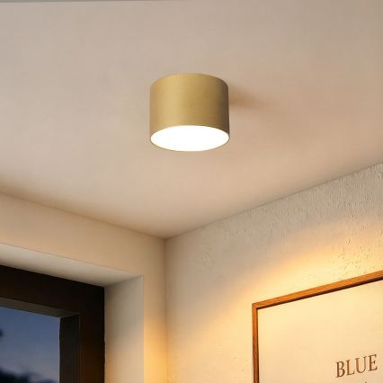 BRILAGI - Utomhustaklampa FORIS LED/9W/230V Ø 9 cm guld IP44