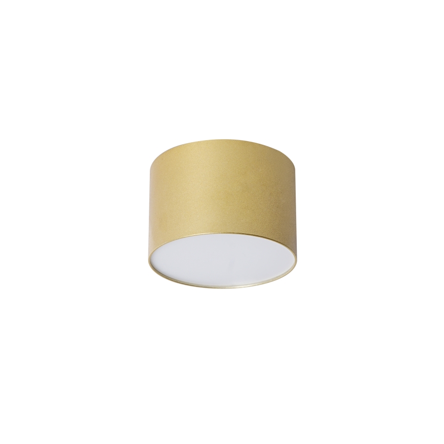 BRILAGI - Utomhustaklampa FORIS LED/9W/230V Ø 9 cm guld IP44
