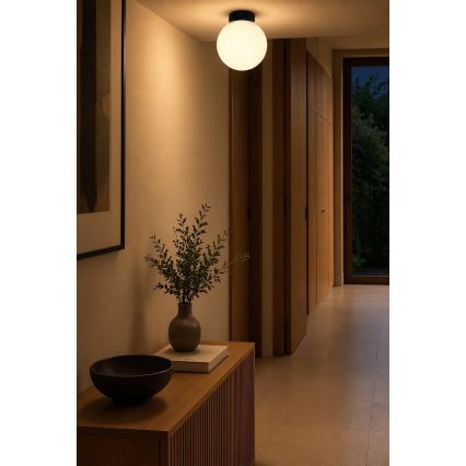 BRILAGI - Vägglampa POLOS 1xE27/40W/230V Ø 20 cm svart
