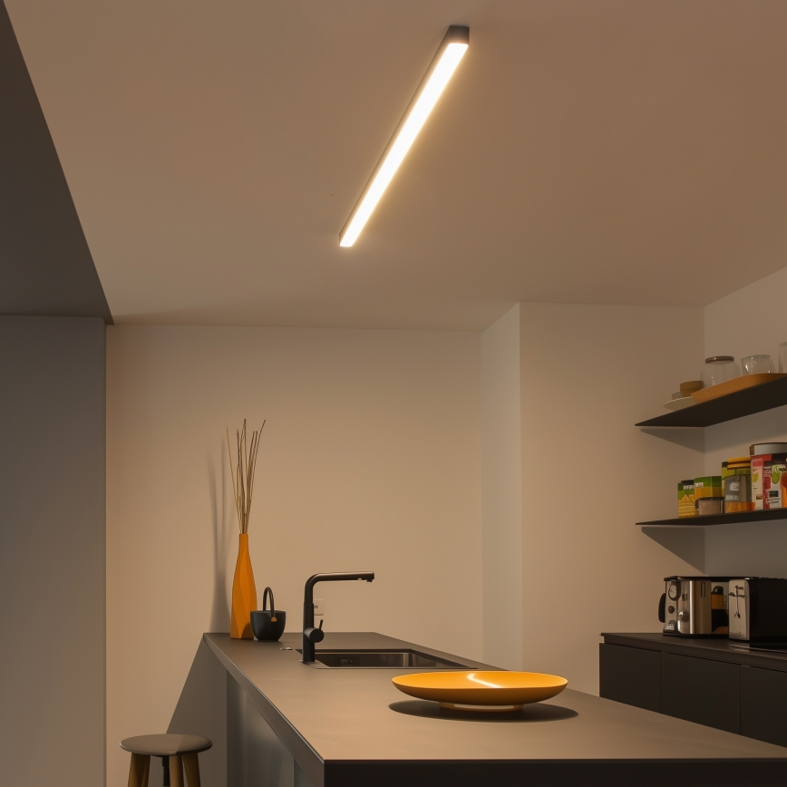 Brilagi - LED ytmonterad takarmatur FULLDAY LED/30/40/50W/230V 2700/4000/6000K 150 cm svart