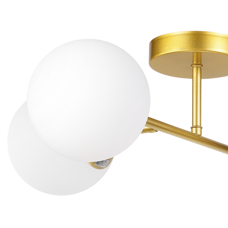 Brilagi - Ytmonterad taklampa MALONY 4xE14/20W/230V guld