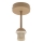 Brilagi - Ytmonterad taklampa PARTY 1xE27/60W/230V Ø 10 cm beige