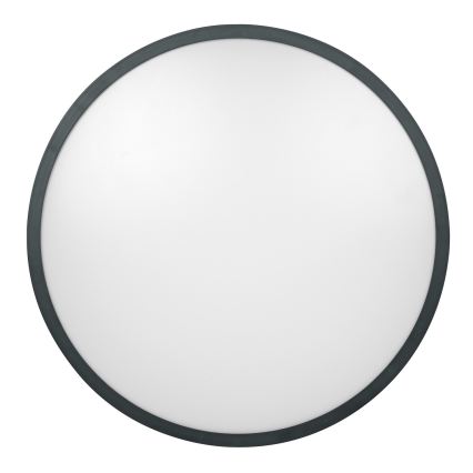 Brilagi - LED badrumsarmatur ZENNA LED/24W/230V Ø 35 cm IP44 antracit