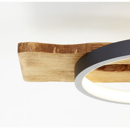 Brilliant - LED Dimbar taklampa PIRUS LED/40W/230V 30x90 cm gummiträ