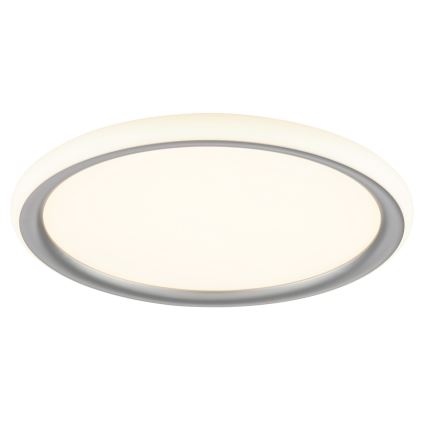 Brilliant - LED Dimbar taklampa CARLOZ LED/16W/230V Ø 30 cm vit/grå