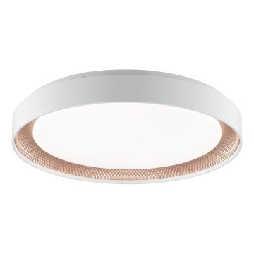 Brilliant - Dimbar LED-taklampa WALDO LED/36W/230V 3000-6500K Ø 48,5 cm vit/roséguld + fjärrkontroll