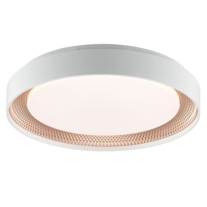 Brilliant - Dimbart LED-taklampa WALDO LED/24W/230V 3000–6500K Ø 38,5 cm vit/roséguld + fjärrkontroll