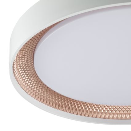 Brilliant - Dimbart LED-taklampa WALDO LED/24W/230V 3000–6500K Ø 38,5 cm vit/roséguld + fjärrkontroll