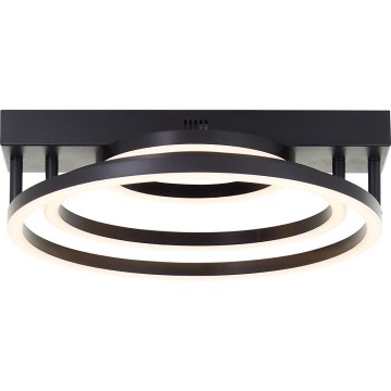 Brilliant - Dimbart LED-taklampa PEDLEY LED/36W/230V svart