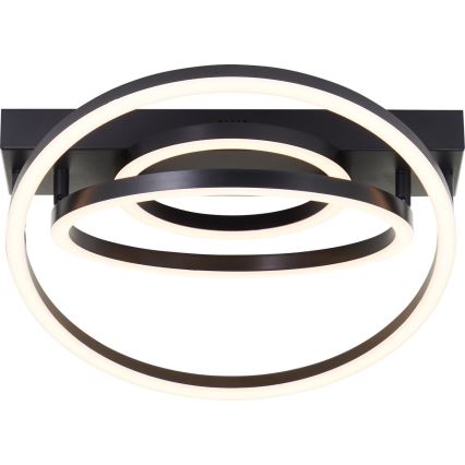 Brilliant - Dimbart LED-taklampa PEDLEY LED/36W/230V svart